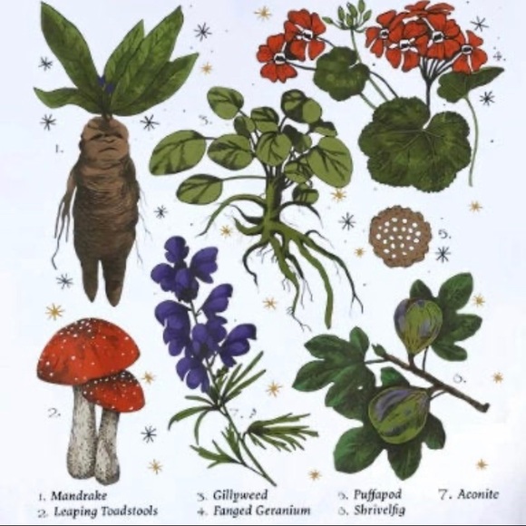 Herbology T Shirt - Harry Potter - Picture 2 of 2